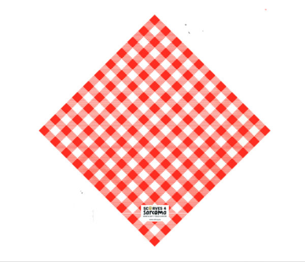 Red and white gingham bandana - large