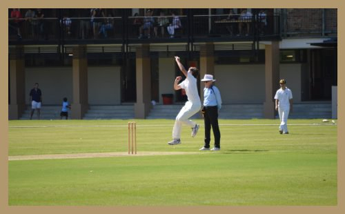DSC_0184-500×310